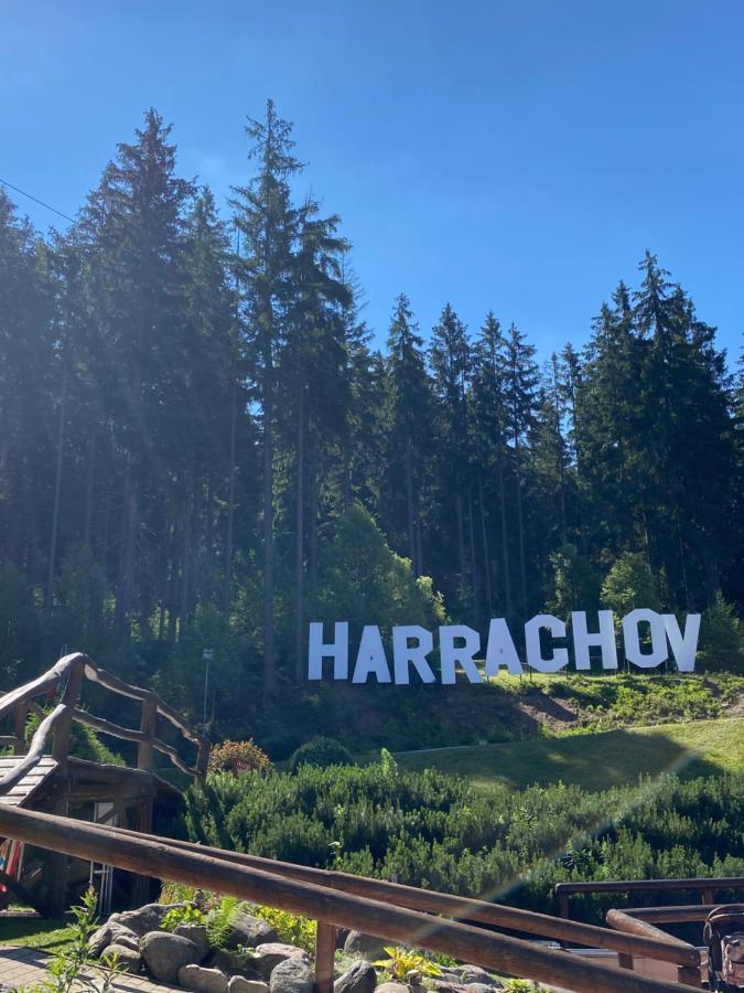 Apartman C. 19 Harrachov Eksteriør bilde